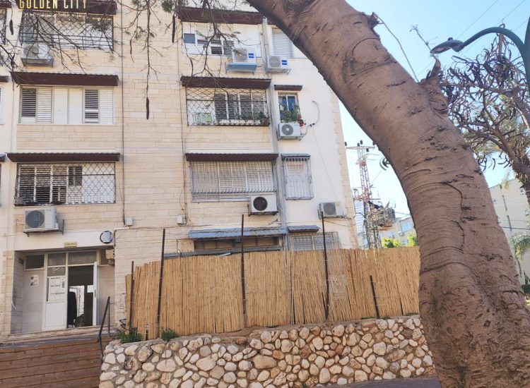 עיצוב ללא שם - 2023-04-04T092644.746