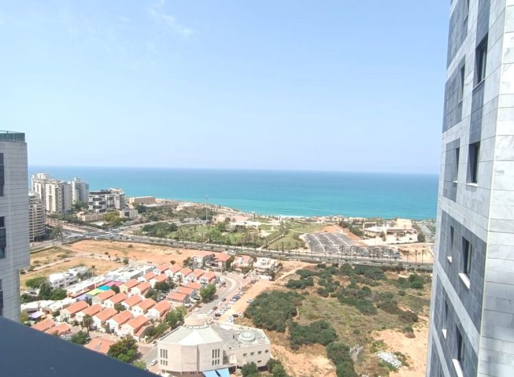 עיצוב ללא שם - 2023-05-21T114307.739