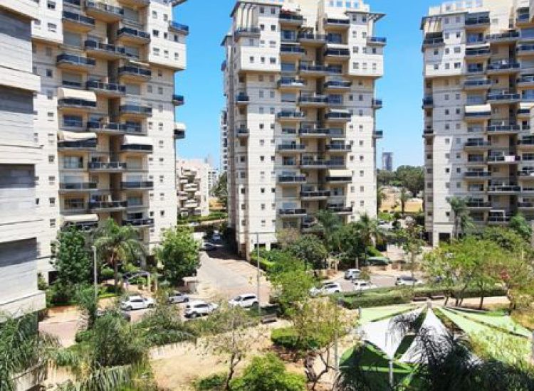 עיצוב ללא שם - 2023-06-06T092005.310