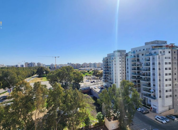 עיצוב ללא שם (91)